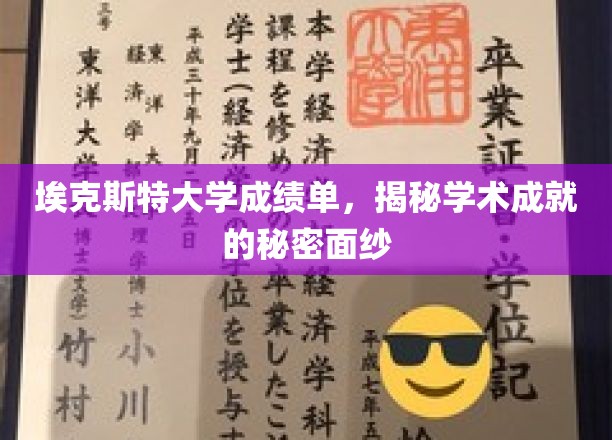 埃克斯特大学成绩单，揭示学术成就的秘密面纱