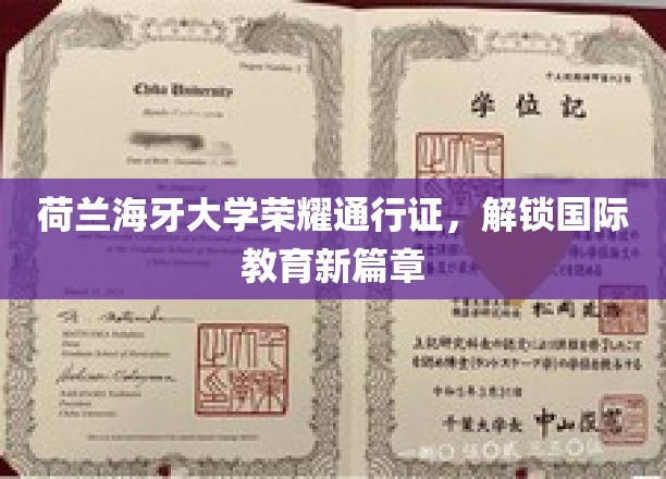 荷兰海牙大学通行证，开启全球教育探索之旅