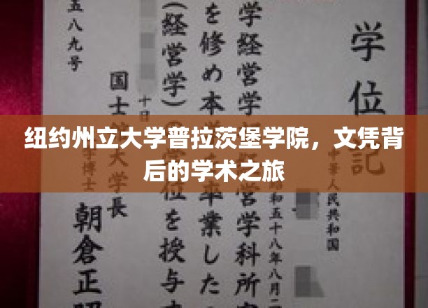 探索纽约州立大学普拉茨堡学院，文凭背后的学术奇旅