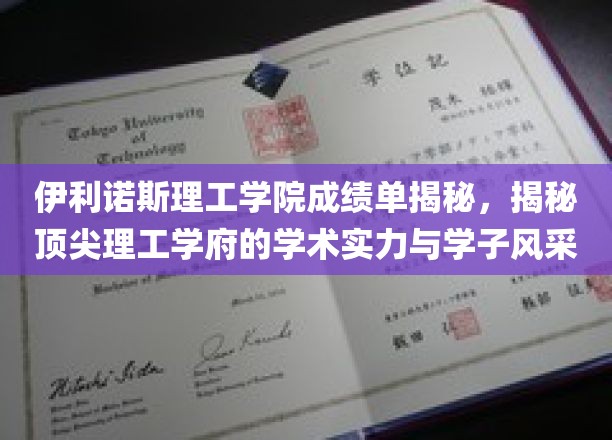 伊利诺斯理工精英风采，一窥顶尖学府的学术辉煌
