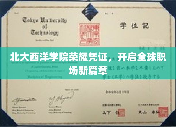 北大西洋学院荣耀凭证，开启全球职场新篇章