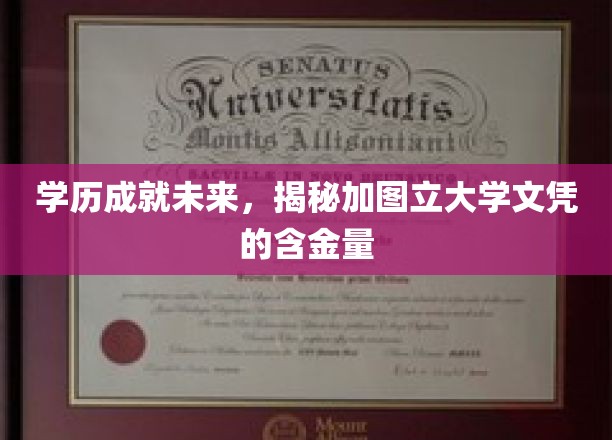 解锁未来职场金钥匙，加图立大学文凭的独到价值