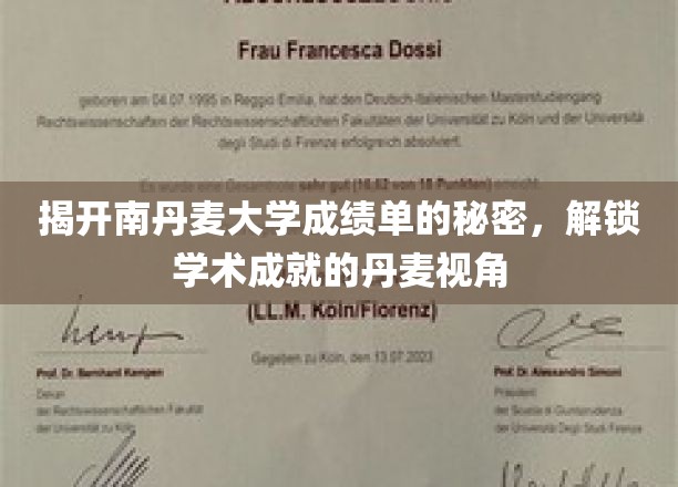 丹麦视角揭秘，南丹麦大学成绩单背后的学术密码