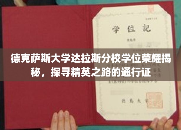 解码达拉斯分校荣耀，探索精英学位背后的非凡之路