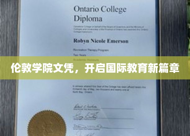 跨越国界，伦敦学院文凭引领教育革新之旅