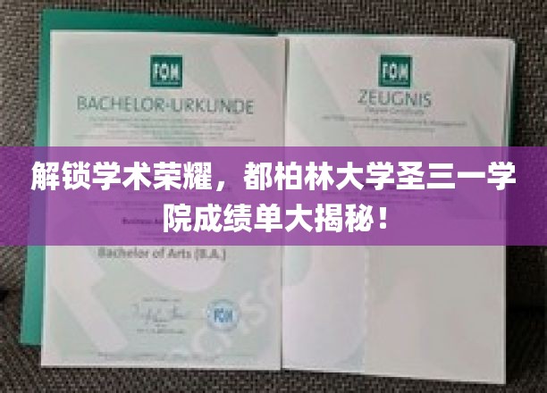 解锁学术荣耀，都柏林大学圣三一学院成绩单大揭秘！