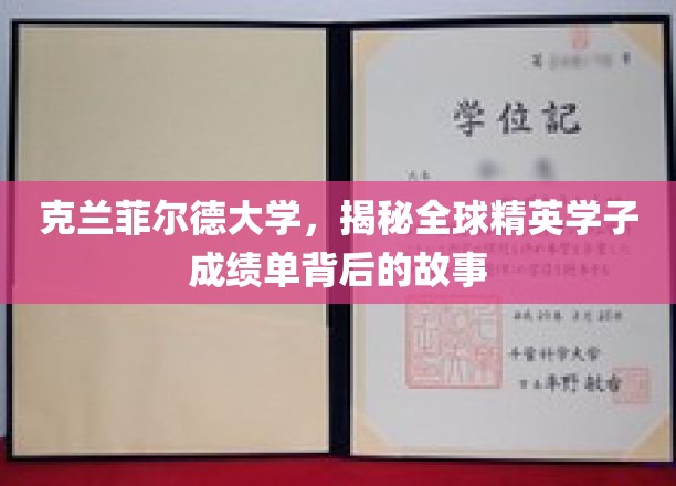 解码克兰菲尔德精英学子，揭秘学术成就背后的非凡旅程