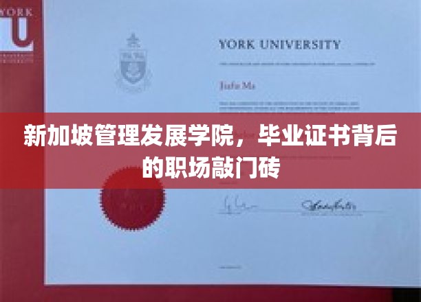 新加坡MDI证书，开启职场新篇章的黄金钥匙