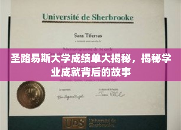 探寻圣路易斯大学成绩单背后的真实学途历程