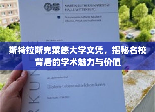 解码斯特拉斯克莱德荣耀，名校文凭背后的学术魔力与深远价值