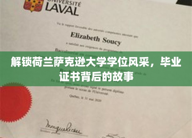 荷兰萨克逊大学学位揭秘，探寻毕业证书背后的传奇之旅