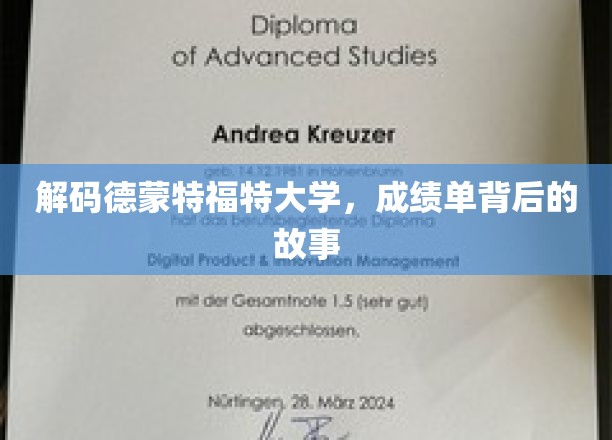 探寻德蒙特福特大学，揭开成绩单背后的精彩篇章