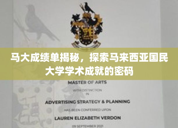 马来西亚国民大学成绩单背后的学术奥秘大揭秘