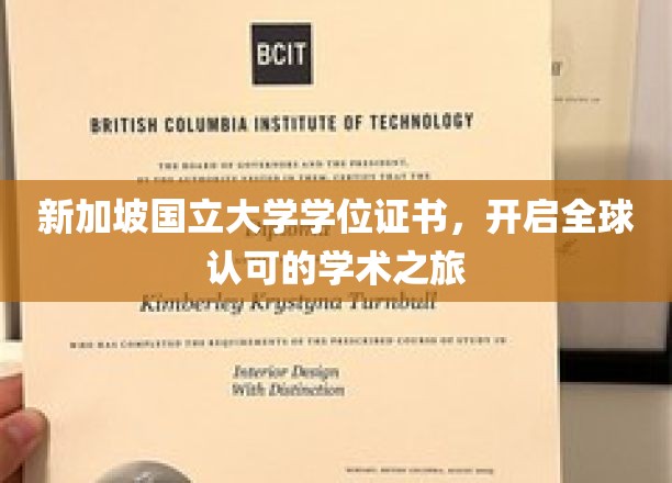 新加坡国立大学文凭，通往国际舞台的通行证