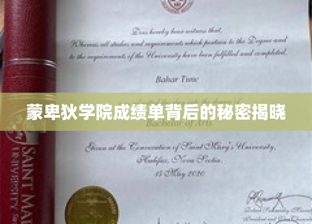 揭开蒙卑狄学院成绩单背后的神秘面纱