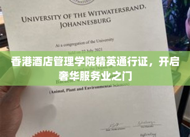 解锁香港酒店管理学院精英护照，迈向高端服务业辉煌人生