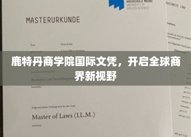 鹿特丹商学院文凭，引领国际商业教育新航标