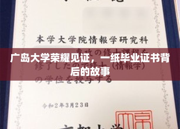 广岛大学荣耀见证，一纸毕业证书背后的故事