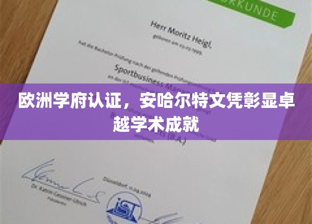 欧洲精英学府认可，安哈尔特大学文凭闪耀学术辉煌