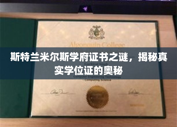 斯特兰米尔斯学府证书迷踪，探寻学位证的神秘面纱