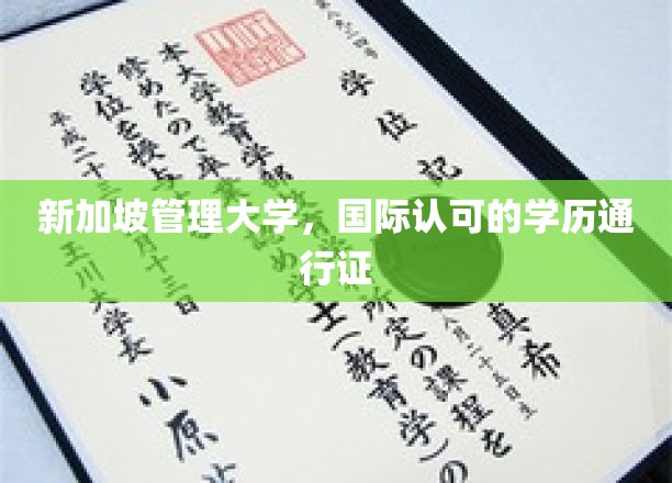 新加坡管理大学，国际认可的学历通行证