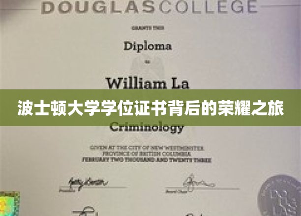 波士顿大学学位证书背后的荣耀之旅
