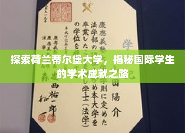 探索荷兰蒂尔堡大学，揭秘国际学生的学术成就之路