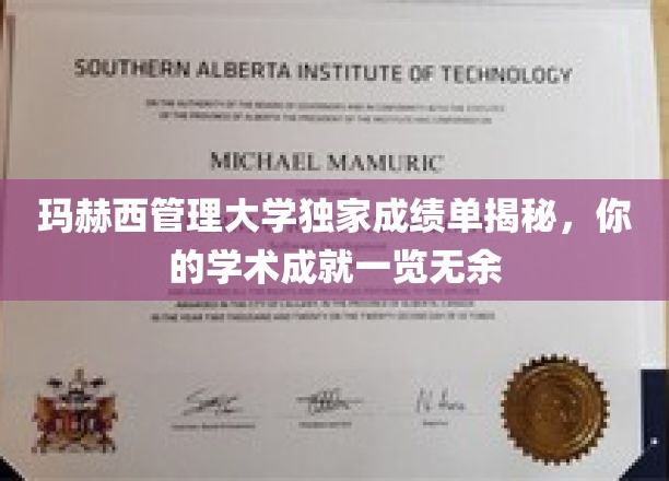 解锁学术荣耀，玛赫西管理大学成绩单大公开！