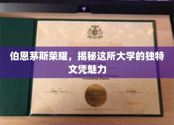 伯恩茅斯荣耀，揭开这所大学的独特文凭魅力