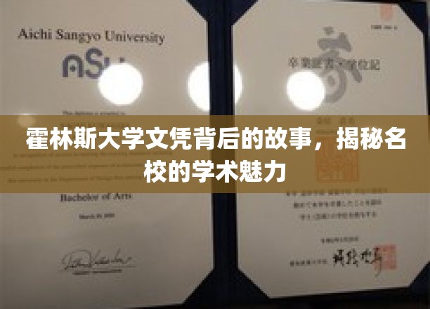 霍林斯大学文凭背后的传奇，探寻顶尖学府的学术风采