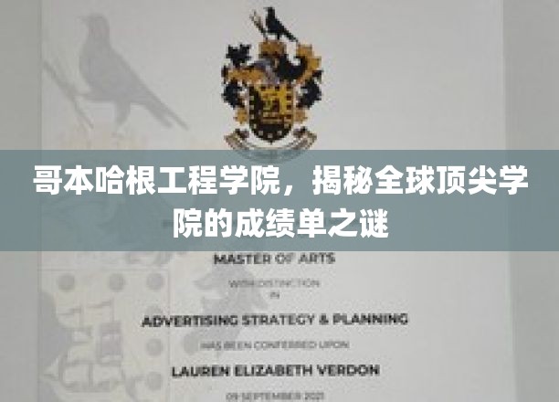 哥本哈根工程学院，揭秘顶尖学院背后的辉煌成就