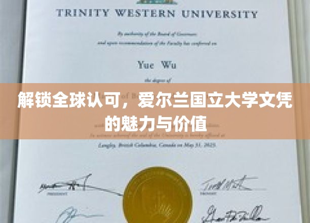 全球通行证，揭秘爱尔兰国立大学文凭的非凡吸引力