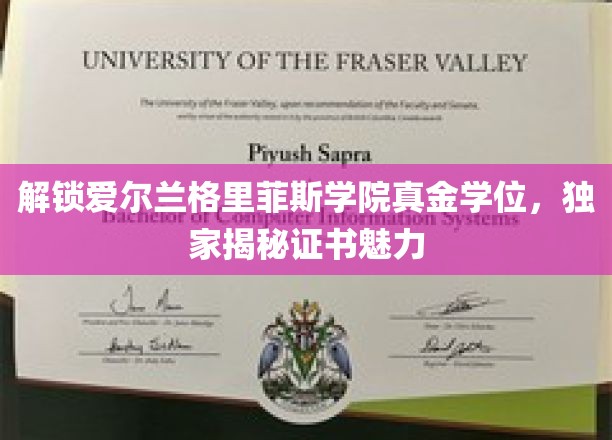探寻格里菲斯学院黄金学位之谜，证书背后的独特魅力