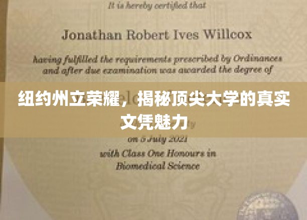 纽约顶尖学府荣耀探秘，揭秘真实文凭背后的独特魅力