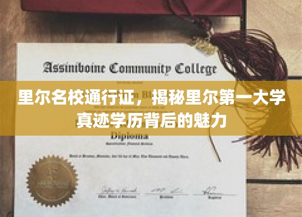 里尔名校通行证，揭秘里尔第一大学真迹学历背后的魅力
