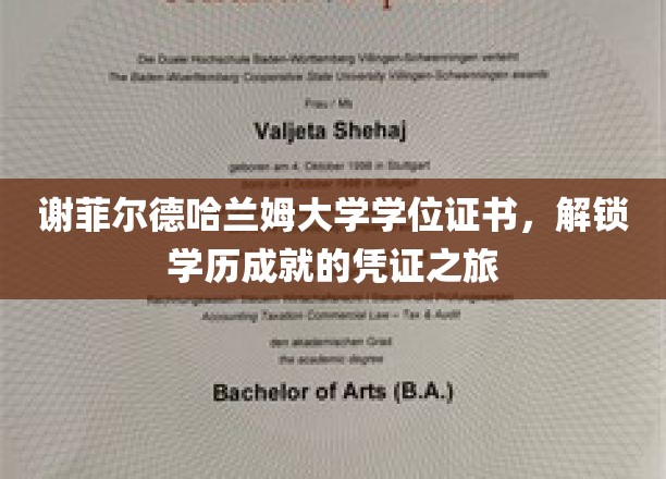 谢菲尔德哈兰姆大学学位证书，开启学历成就的探索之旅