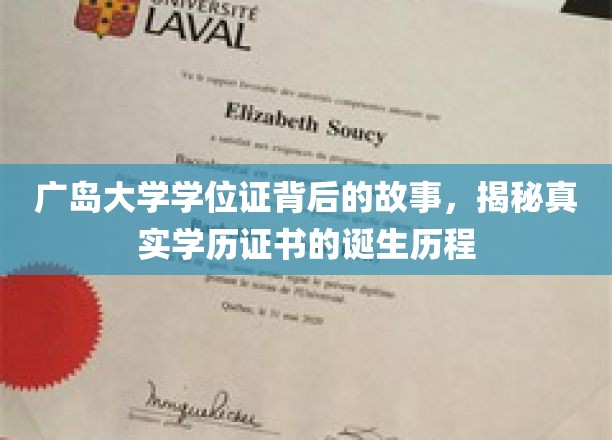广岛大学学位证背后的故事，揭秘真实学历证书的诞生历程