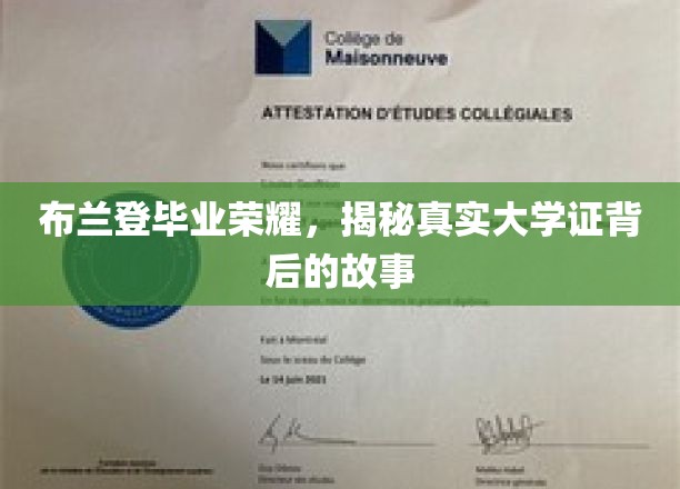 布兰登荣耀毕业，揭秘真实大学证背后的故事