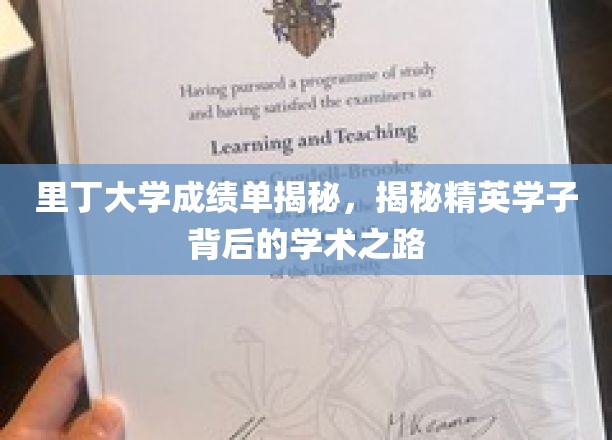 里丁大学成绩单揭秘，揭秘精英学子背后的学术之路
