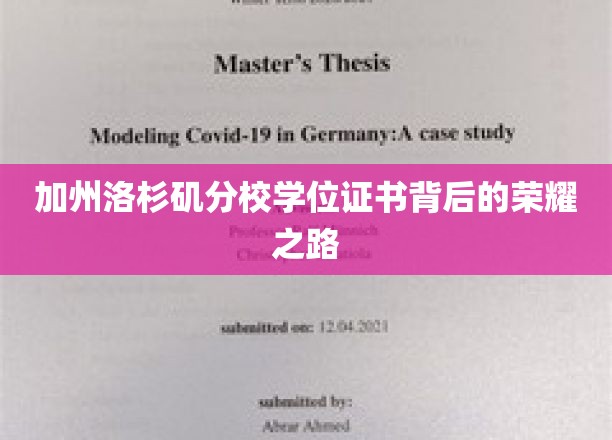 加州洛杉矶分校学位证书背后的荣耀之路