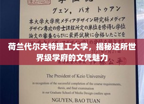 探索荷兰代尔夫特理工，世界级文凭背后的独特魅力
