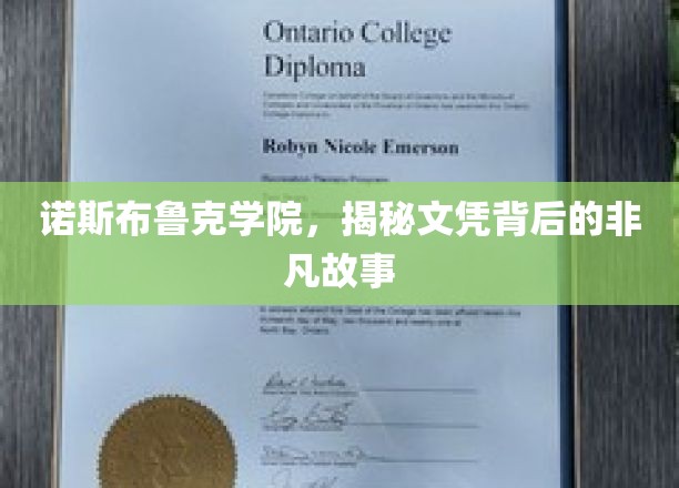 诺斯布鲁克学院，揭秘文凭背后的非凡故事