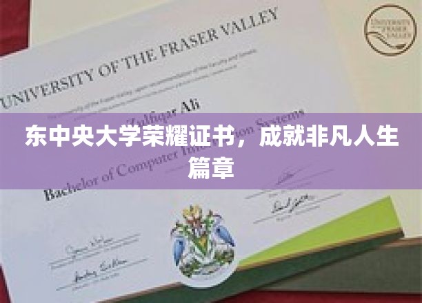 荣耀加冕，东中央大学证书书写非凡人生传奇