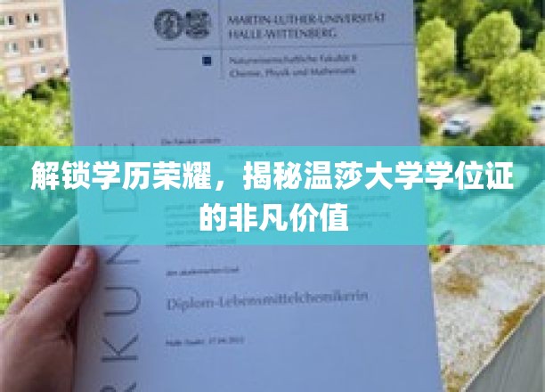 温莎大学学位证，揭开学历背后的尊贵与潜力