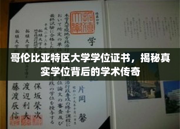 DC大学学位揭秘，探寻背后的学术辉煌与真实故事