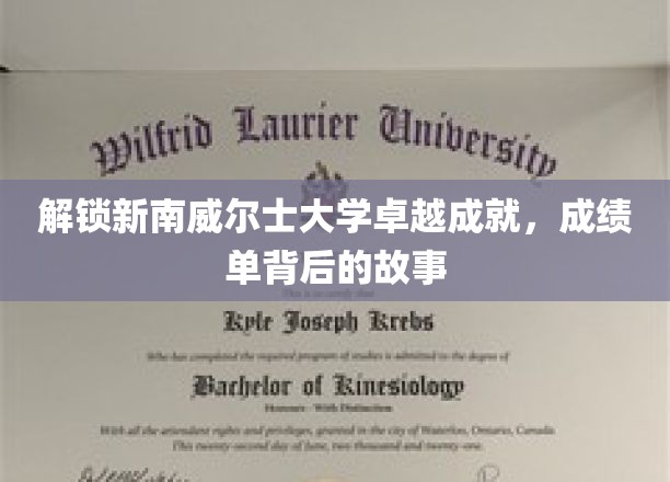 解锁新南威尔士大学卓越成就，成绩单背后的故事
