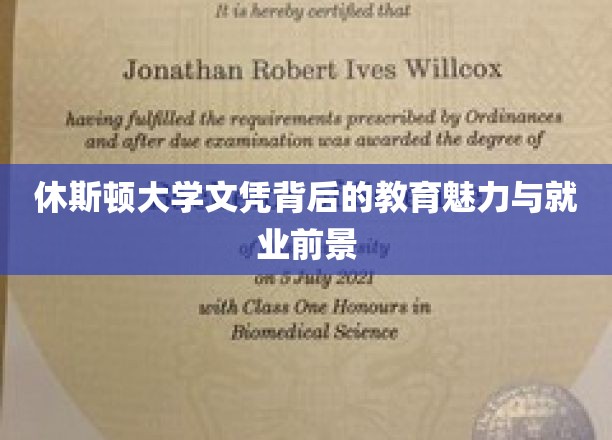 探寻休斯顿大学文凭的独到魅力与广阔职业蓝图