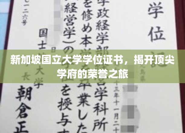 解码狮城精英，新加坡国立大学学位证书背后的荣耀篇章