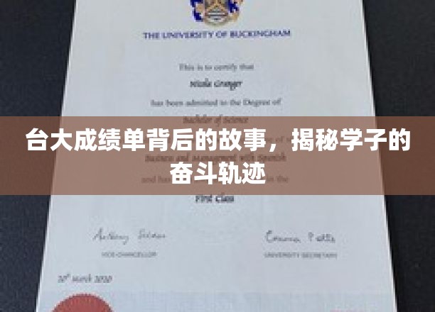 台大成绩单背后的故事，揭秘学子的奋斗轨迹