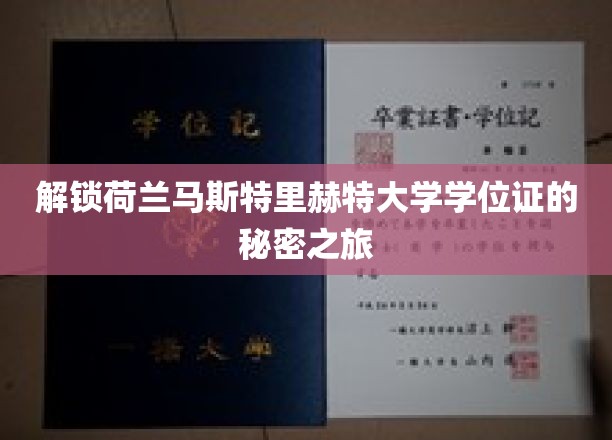 解锁荷兰马斯特里赫特大学学位证的秘密之旅